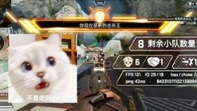 团团的日常吃瓜,揭秘娱乐圈那些事儿