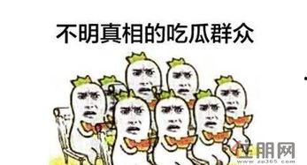 吃瓜群众大围,揭秘网络热议背后的真相与趣味