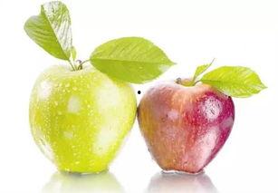 吃蜜不吃瓜吃果,蜜果双享，拒绝瓜果纷争