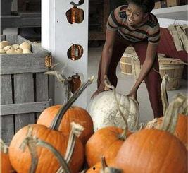 民众吃瓜头像,揭秘网络时代的社交符号