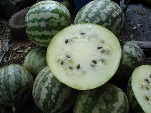 龙瓜莱怎么吃,解锁美味新体验