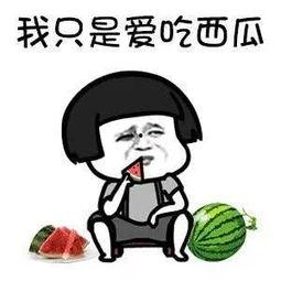 吃瓜真快乐,网络热词背后的社会现象