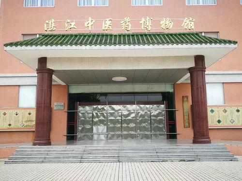 湛江中医吃瓜,吃瓜养生，古法新解健康生活之道