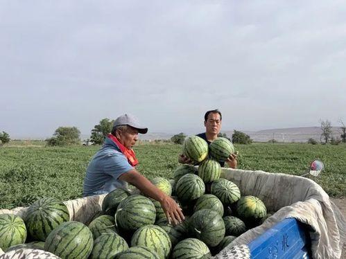 天胡吃瓜,揭秘娱乐圈那些不为人知的幕后故事