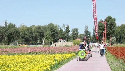天山花田吃瓜,夏日消暑美食之旅