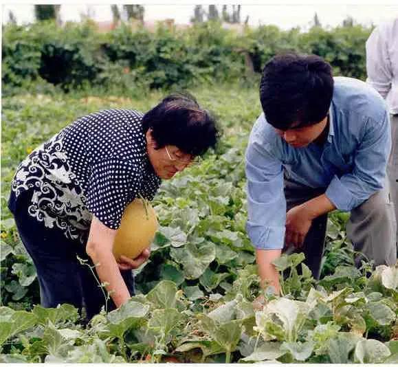 农村姐妹吃瓜照片大全,共享夏日清凉时光