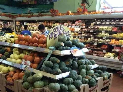 吃瓜美陈,网红美食背后的故事与魅力