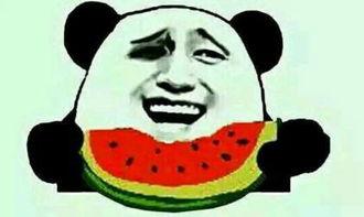吃瓜群众啃着西瓜,吃瓜群众啃瓜乐翻天