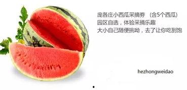 川禾吃瓜,揭秘娱乐圈背后的那些事儿