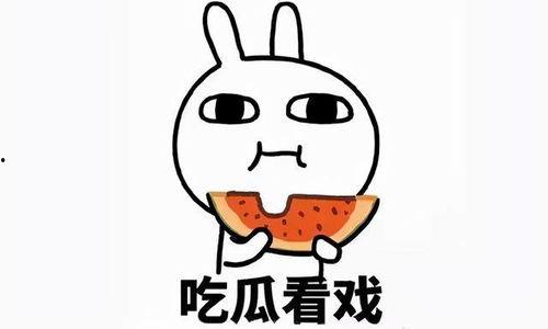 吃瓜的红蚁,揭秘神秘生物的饮食习惯与生存智慧