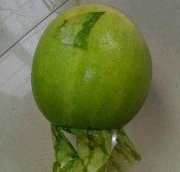 今日吃瓜每日吃瓜的意思,跟随吃瓜群众，畅享娱乐盛宴