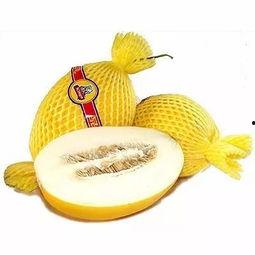 睡觉吃蜜瓜,揭秘睡前享用蜜瓜的奇妙体验