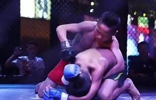 狗血吃瓜后续搏击