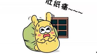 吃瓜群众982,网络红人的崛起之路