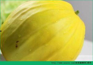 瓜可以连皮吃吗,探索连皮食用的可能性