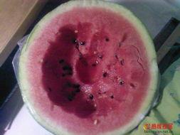 吃瓜系统热线,带你走进娱乐圈的幕后故事