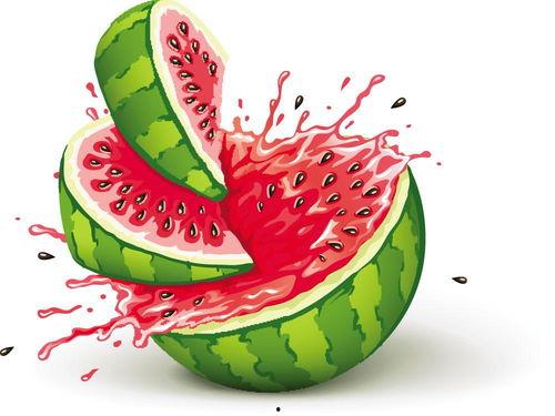 小儿使劲吃瓜,小宝贝尽情享受夏日瓜果盛宴