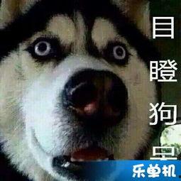 吃瓜的琪琪,揭秘娱乐圈那些事儿