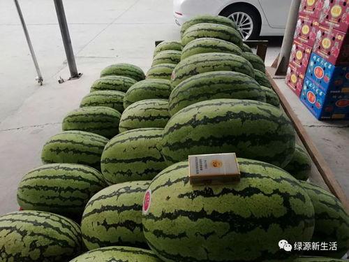 纳凉吃瓜照片,定格美好时光