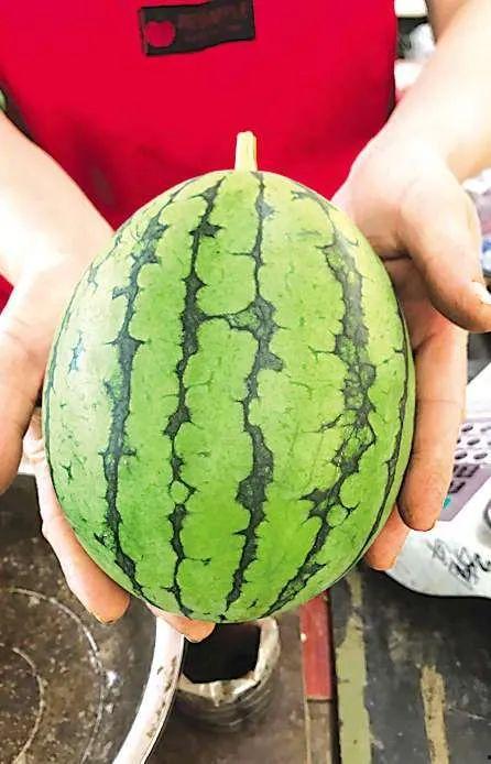 青岛吃瓜网站,带你领略岛城美食风云录