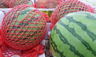 隔屏幕吃瓜,共享“吃瓜”乐趣