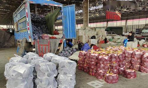 寿光楼顶吃瓜,寿光夏日风情无限