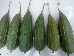 谁买瓜吃,揭秘谁买瓜吃的背后故事