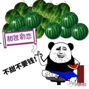 中原科技吃瓜,揭秘行业“吃瓜”背后的真相与启示