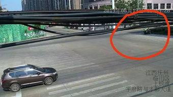 交警儿子撞人吃瓜,真相与舆论的漩涡