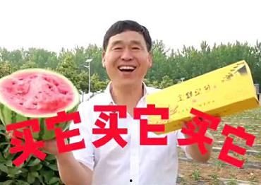 吃瓜淮北,探寻美食与文化的交汇之地