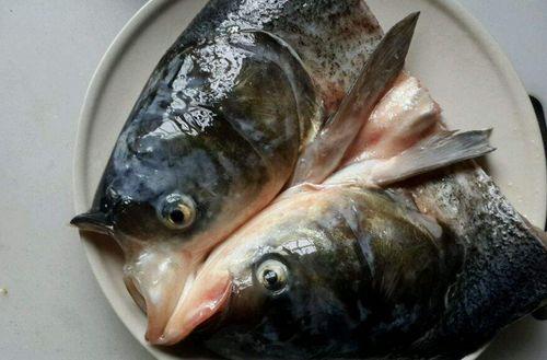 鱼头怪吃瓜,一场奇幻的瓜界冒险之旅