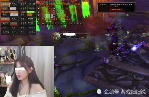 魔兽吃瓜直播回放,吃瓜直播回放，揭秘游戏幕后趣闻