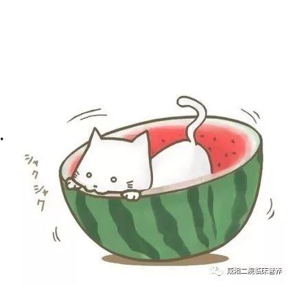 野猪吃瓜搞笑头像动漫,搞笑动漫头像背后的趣味故事