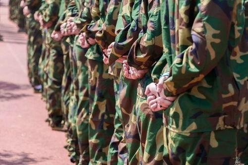 吃瓜蓝迷彩跳舞,一场别开生面的舞蹈盛宴