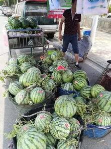 青州东城吃瓜事件,一场引发热议的街头冲突纪实