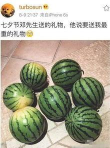 吃7个瓜,探寻夏日消暑美食之旅