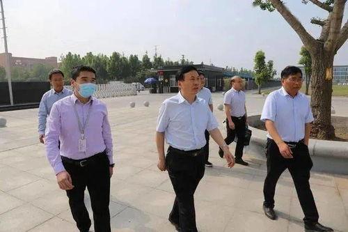 吃瓜吃进了jc局,一场意外的“瓜田”奇遇