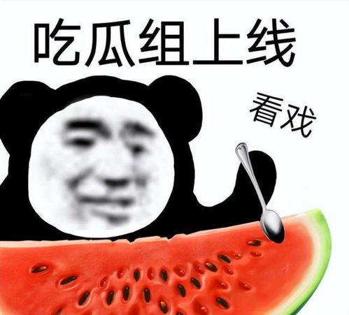 打假吃瓜女,揭秘打假吃瓜女生的真实面目