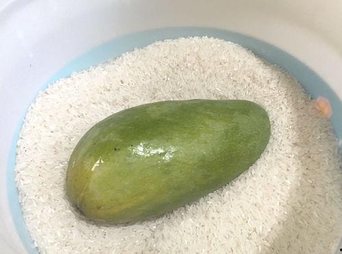 吃瓜小芒芒,揭秘娱乐圈那些不为人知的幕后故事