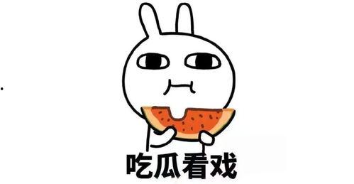 吃瓜同学的感情,吃瓜同学的甜蜜邂逅
