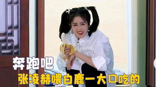 白鹿综艺吃瓜视频,揭秘明星幕后故事