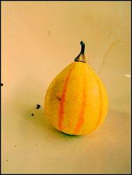 新沂流行吃瓜,探寻当地特色美食文化之旅