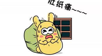 群众吃瓜打官司,一场别开生面的“打官司”之旅