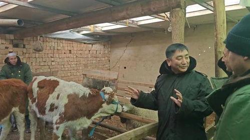 老牛吃瓜群众9123,揭秘网络热词背后的故事